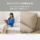 3人掛けソファ 本革(一部合成皮革)タイプ (FR03 BK) 2枚目画像