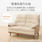 傷・汚れに強い 2人掛けソファ 合皮タイプ(PD02-2 Nシールド DBR) 5枚目画像