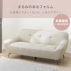 3人掛けソファ 本革(一部合成皮革)タイプ (MB11 DGY) 2枚目画像