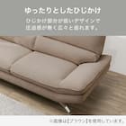 2人掛けソファ 布張りタイプ (FR03 DTBL) 3枚目画像