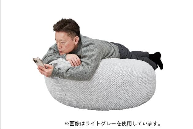 ニトリ　1人掛けカジュアルソファ 布張りタイプ (PX03 BR) ｶｼﾞｭｱﾙ1Pｿﾌｧ PX03 BR | ニトリネット【公式】 家具・インテリア通販