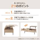 昇降センターテーブル(PH02 100 WW) 3枚目画像