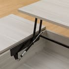 昇降センターテーブル(PH02 100 WW) 17枚目画像