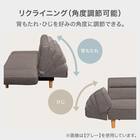 カジュアルソファ 布張りタイプ (DJ13 BE) 2枚目画像