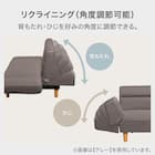 カジュアルソファ 布張りタイプ (DJ13 BE) 2枚目画像