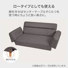 カジュアルソファ 布張りタイプ (DJ13 BE) 3枚目画像