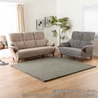 2人掛け布張りソファ(コウテイ4 GY)【島忠ホームズ商品】 10枚目画像