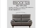 ｶｳﾁｿﾌｧR ﾘｯｸ FB BE 3枚目画像