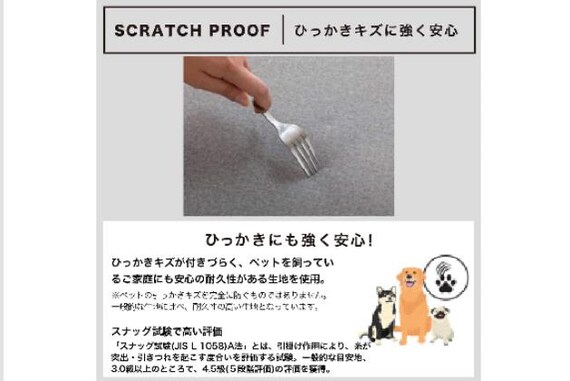 ｶｳﾁｿﾌｧR ﾘｯｸ FB BE 5枚目画像