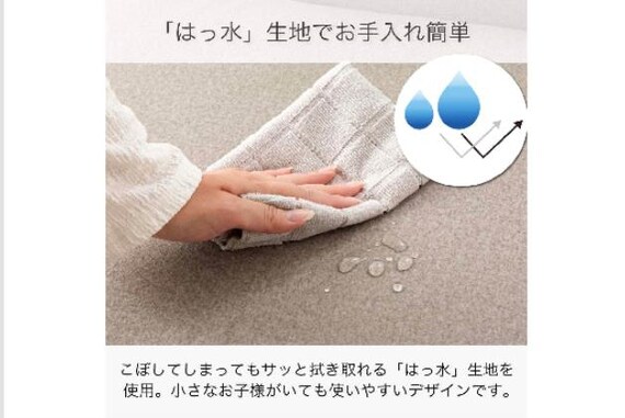 ｶｳﾁｿﾌｧR ﾘｯｸ FB BE 7枚目画像