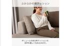 ｶｳﾁｿﾌｧR ﾘｯｸ FB BE 9枚目画像