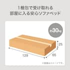 ソファベッド 布張りタイプ (モチファ MZ02 肘なし LGY) 6枚目画像