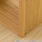 壁面ユニット アディショナルシェルフ(コネクト2 幅41 1段 GW) 5枚目画像