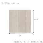 壁面ユニット(コネクト2 追加パーツ 扉/1段用 GW) 6枚目画像