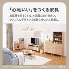 フリーラック(AR01 9029 NA) 2枚目画像