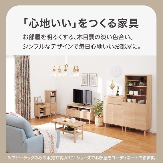 フリーラック(AR01 9029 NA) 2枚目画像