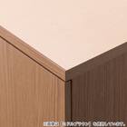 ワードローブ(クエスT 100WR GY) 13枚目画像