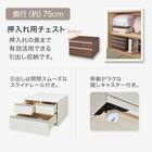 押入れチェスト(トラウト 75-2 WW) 2枚目画像
