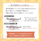 フランスベッド ワイドダブル マットレス ハイジェニック(ハード WD) 17枚目画像