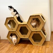 爪とぎ付 キャットハウス(5個セット)