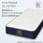 シーリー シングルマットレス(SL-6750) 2枚目画像