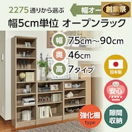 Fフォースター オーダーラック 強化棚 奥行46cm【期間限定価格:11/25~1/5まで】