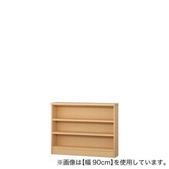 Fフォースター オーダーラック 強化棚 奥行19cm (幅85×高さ70cm PN) 1枚目画像