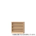 Fフォースター オーダーラック 奥行25cm (幅60×高さ70cm PN) 1枚目画像