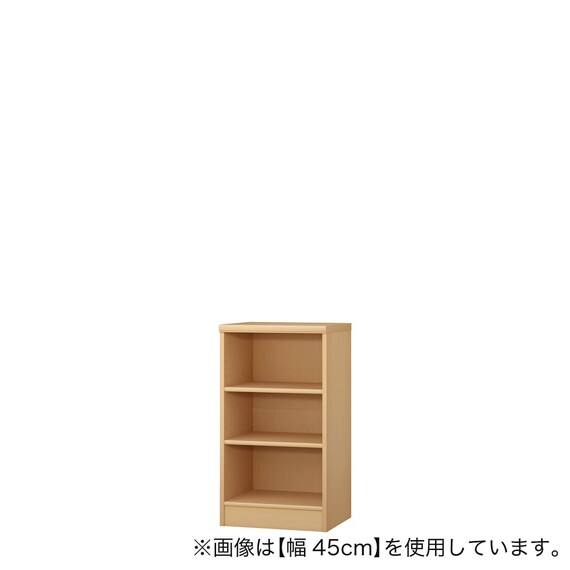 Fフォースター オーダーラック 奥行40cm (幅55×高さ80cm PN) 1枚目画像