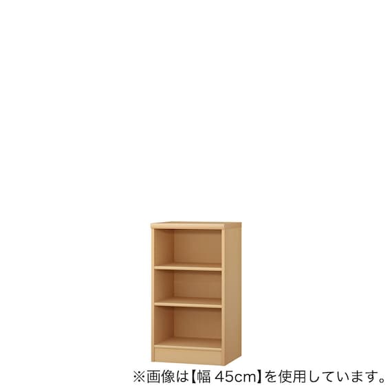 Fフォースター オーダーラック 奥行40cm (幅55×高さ80cm PN) 1枚目画像