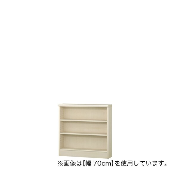 Fフォースター オーダーラック 奥行19cm (幅70×高さ70cm WWN) 1枚目画像