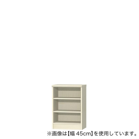 Fフォースター オーダーラック 奥行25cm (幅50×高さ70cm WWN) 1枚目画像