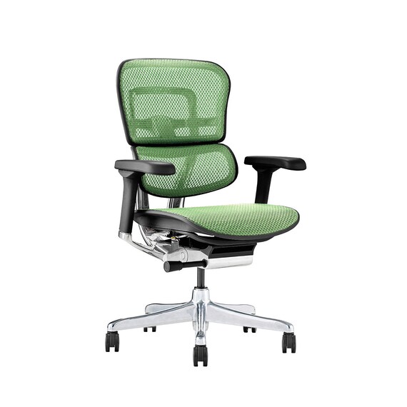 ワークチェア(エルゴヒューマン EHP2 LAMDR BK/GN) 1枚目画像