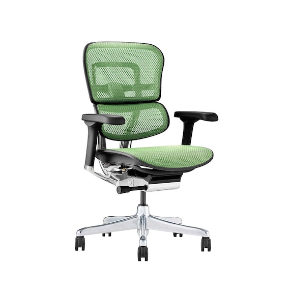 ワークチェア(エルゴヒューマン EHP2 LAMDR BK/GN) 1枚目画像