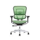 ワークチェア(エルゴヒューマン EHP2 LAMDR BK/GN) 2枚目画像