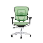 ワークチェア(エルゴヒューマン EHP2 LAMDR BK/GN) 2枚目画像