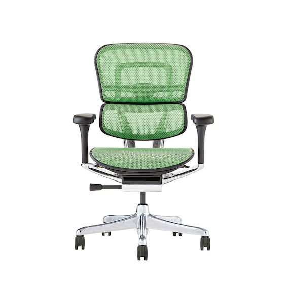 ワークチェア(エルゴヒューマン EHP2 LAMDR BK/GN) 2枚目画像