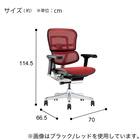 ワークチェア(エルゴヒューマン EHP2 LAMDR BK/GN) 3枚目画像