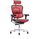 ワークチェア(エルゴヒューマン EHP2 HAMDR BK/RD) 1枚目画像