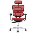 ワークチェア(エルゴヒューマン EHP2 HAMDR BK/RD) 2枚目画像