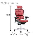ワークチェア(エルゴヒューマン EHP2 HAMDR BK/RD) 3枚目画像