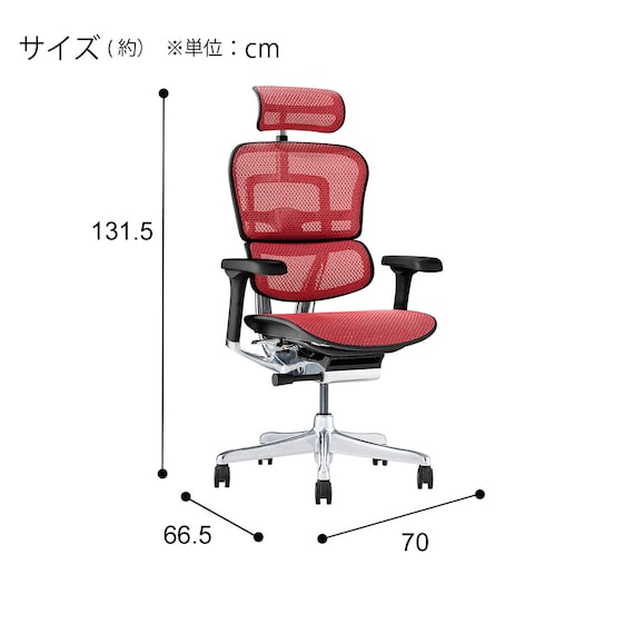 ワークチェア(エルゴヒューマン EHP2 HAMDR BK/RD) 3枚目画像