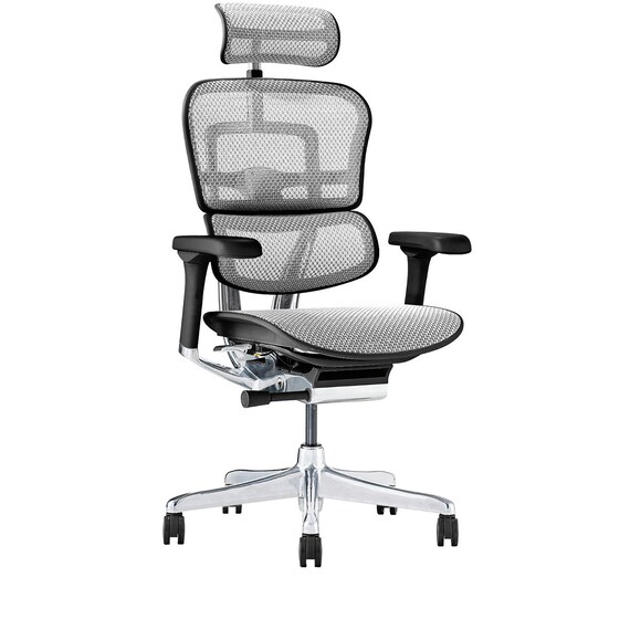 ワークチェア(エルゴヒューマン EHP2 HAMDR BK/WH) 1枚目画像