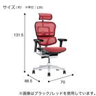 ワークチェア(エルゴヒューマン EHP2 HAMDR BK/WH) 3枚目画像