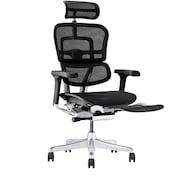 ワークチェア(エルゴヒューマン EHP2 LPLDR)