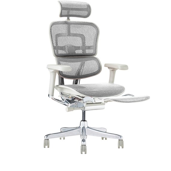ワークチェア(エルゴヒューマン EHP2 LPLDR GY/WH) 1枚目画像