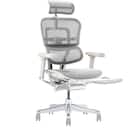 ワークチェア(エルゴヒューマン EHP2 LPLDR GY/WH) 1枚目画像