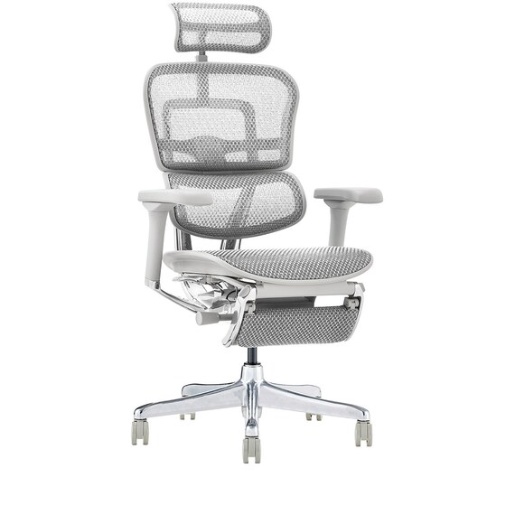 ワークチェア(エルゴヒューマン EHP2 LPLDR GY/WH) 2枚目画像