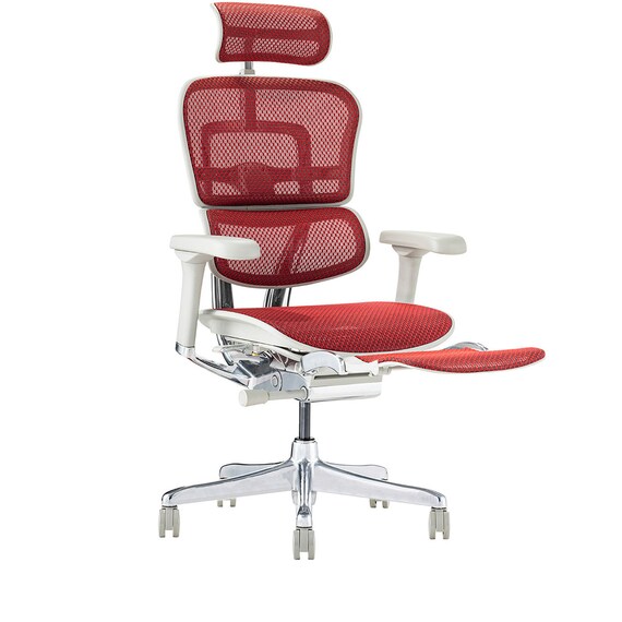 ワークチェア(エルゴヒューマン EHP2 LPLDR GY/RD) 1枚目画像