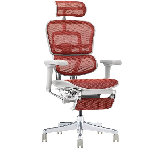 ワークチェア(エルゴヒューマン EHP2 LPLDR GY/RD) 2枚目画像